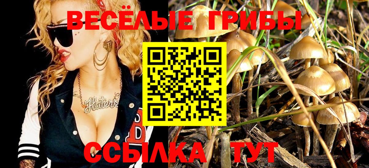 Нефтеюганск  Псилоцибиновые грибы Cubensis  Вход с VPN 